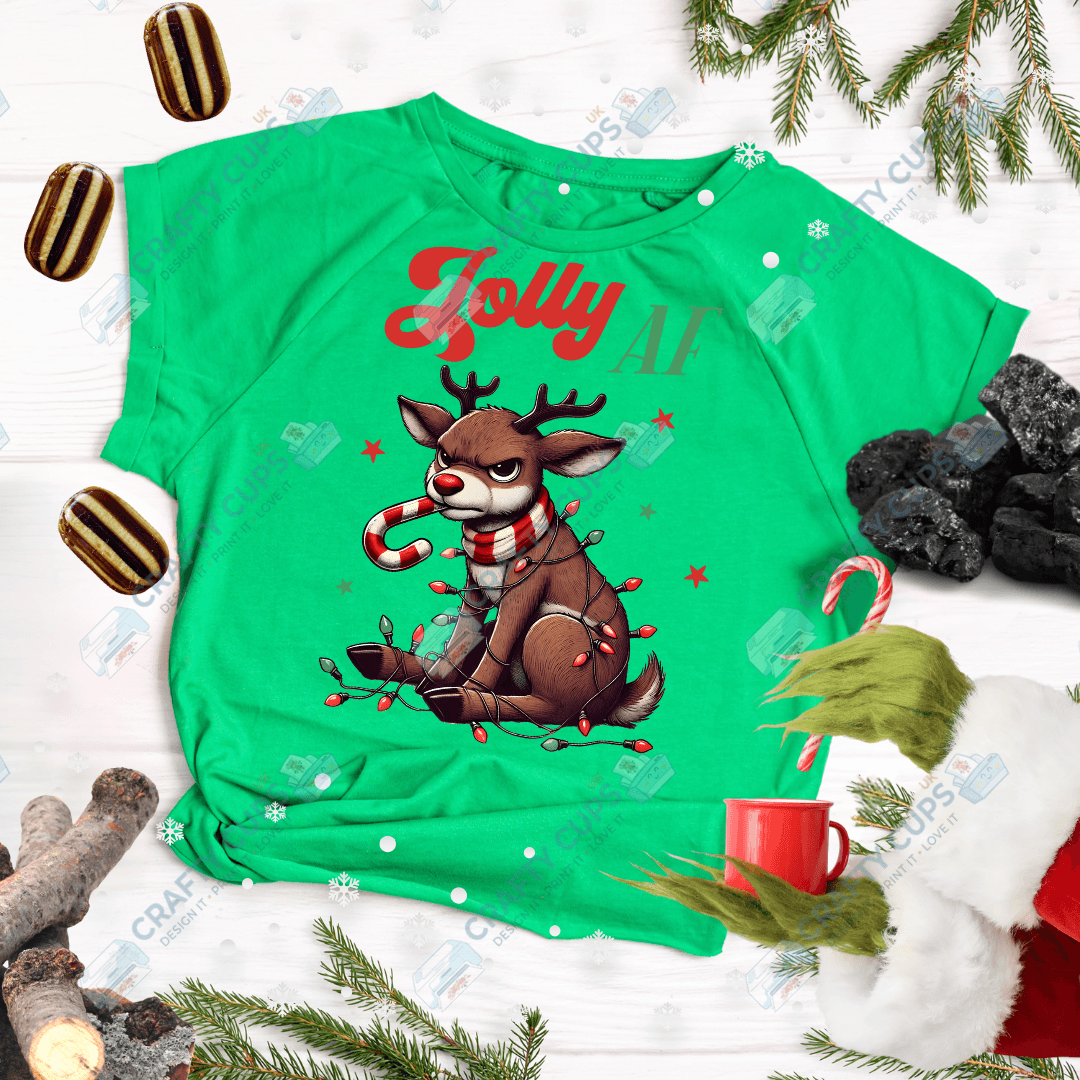 Grumpy Christmas Animals DTF Transfer – Funny Festive Holiday Print