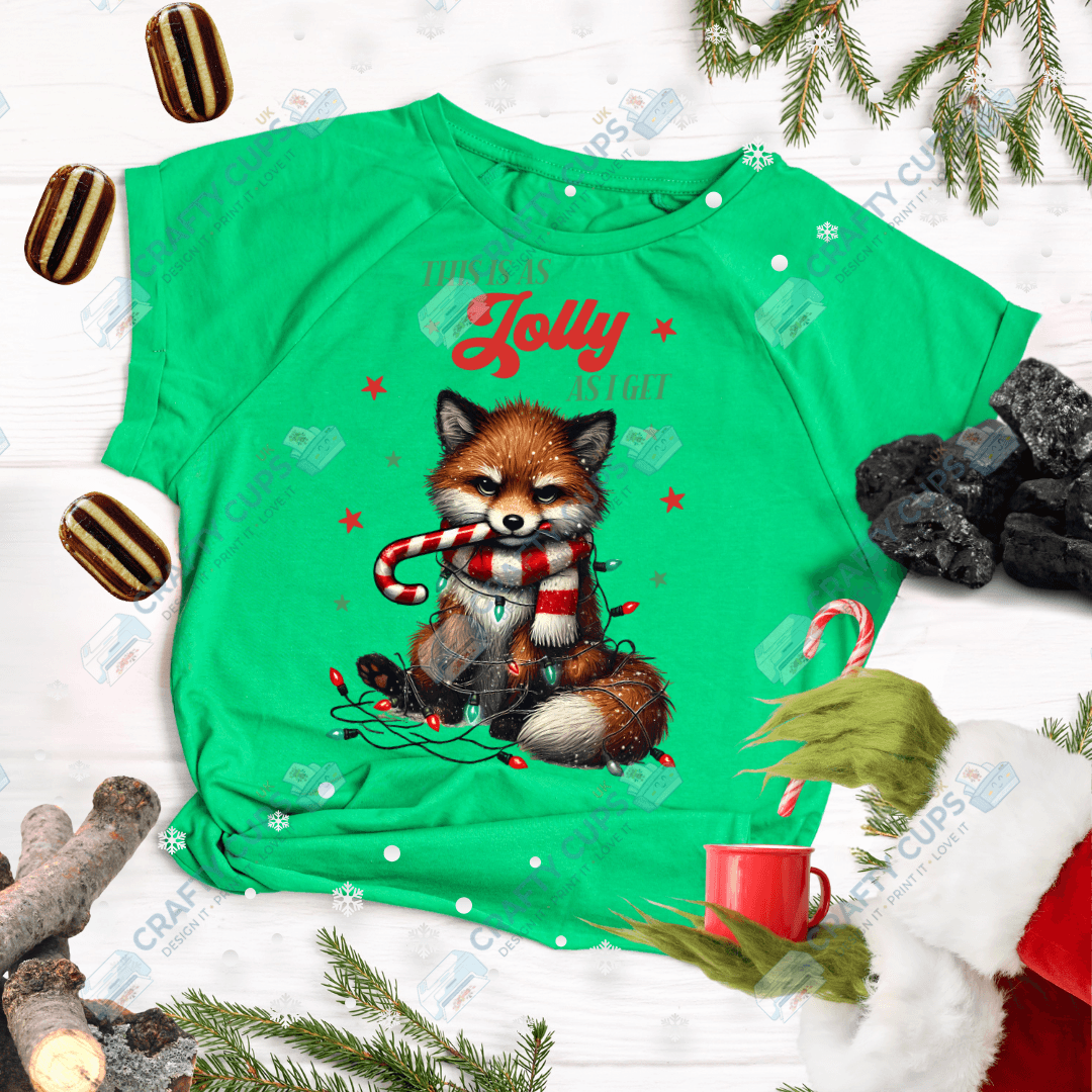 Grumpy Christmas Animals DTF Transfer – Funny Festive Holiday Print