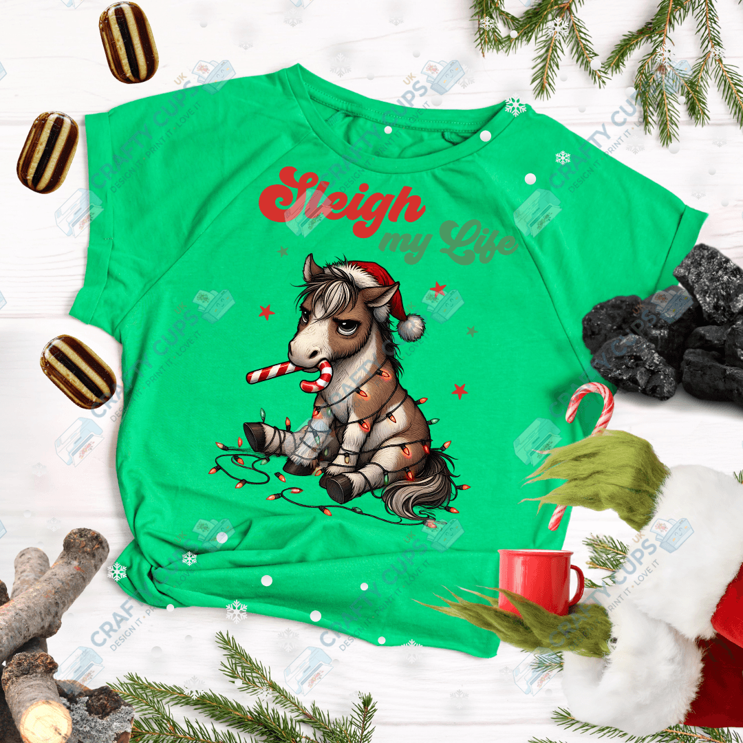 Grumpy Christmas Animals DTF Transfer – Funny Festive Holiday Print