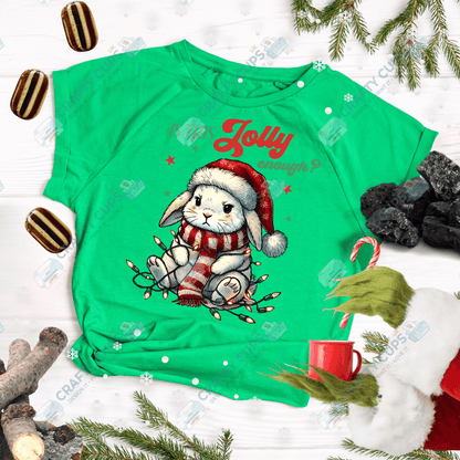 Grumpy Christmas Animals DTF Transfer – Funny Festive Holiday Print
