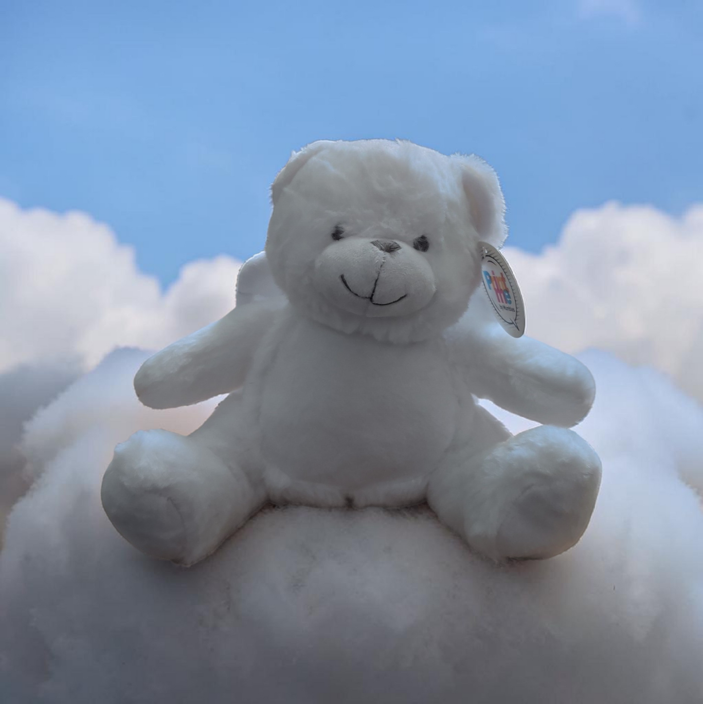 Genuine Mumbles Mini Angel Bear 24cm – Printable Plush Teddy (RRP £15.99) | Geordie Bargain Bin £8.50